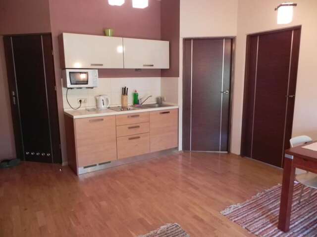 Апартаменты Apartament Brandy Radowid Закопане-20